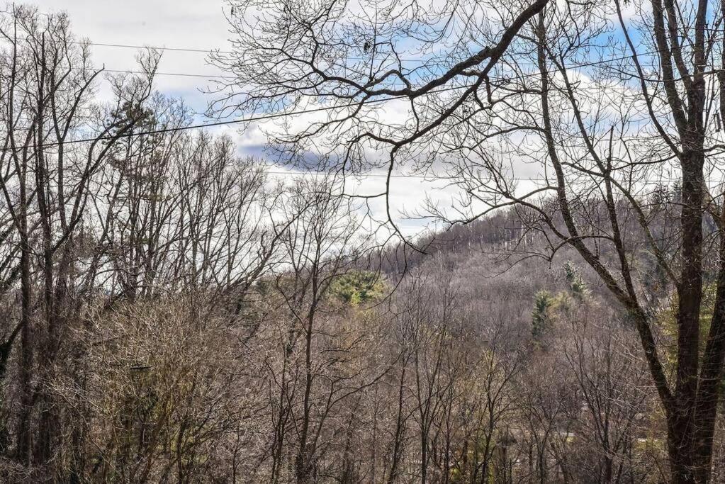 Hot Tub & Fire Pit, Just 11 Miles To Downtown Avl